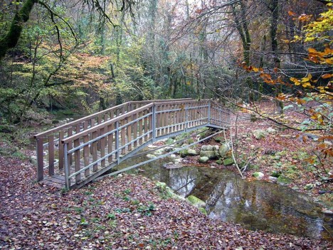 Passerelle sur la brive