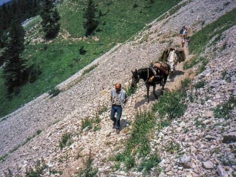 Avec Riquita et Gitane bâtée sur le sentier du Col de Bellefont