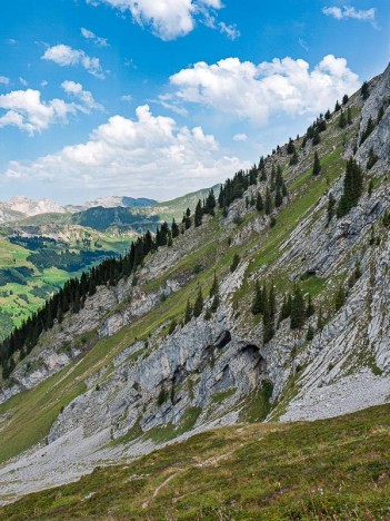 Au pied du Paré de Joux