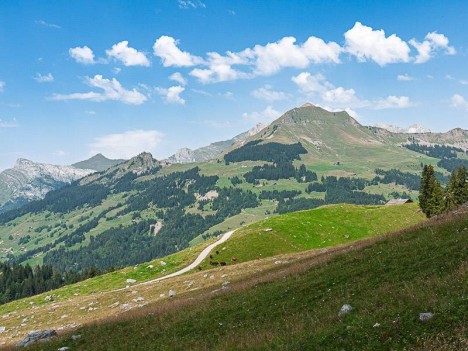 Face au Mont Lachat de Châtillon