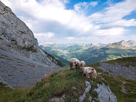 Le Grand Bornand et vallée du torrent le Borne