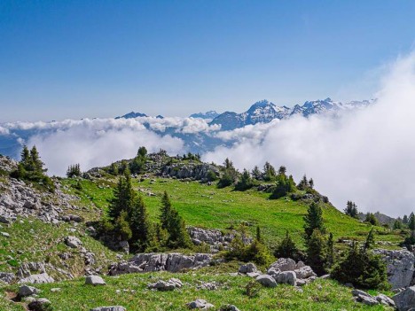 Descente du Petit Bargy