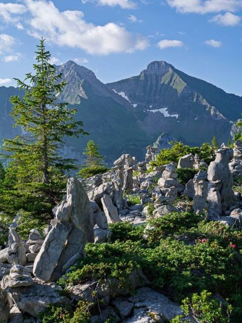 Pierres dressées, champ de cairns