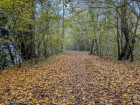 Le Sentier de la Lône d'en l'Île