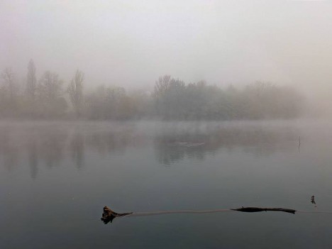 Brouillard sur le Rhône