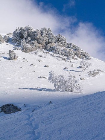 Sous le Col de Rossanaz