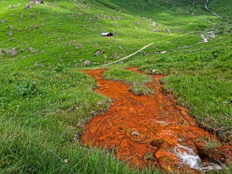 Source ferrugineuse