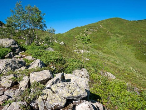 Sentier de la moraine de la Combe de l'Arbet Neuf