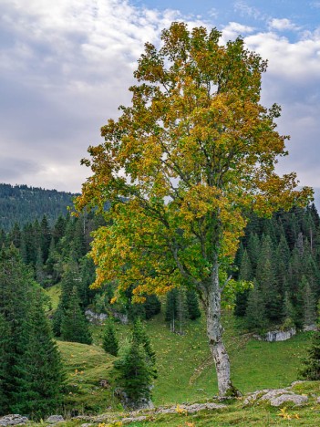 L'Alpette en automne