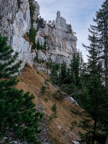 L'Arche à l'Aiguille