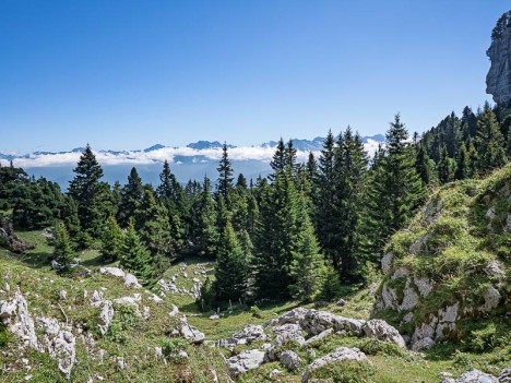 Au Col de Belles Ombres