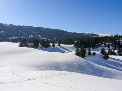 À travers l'Alpette
