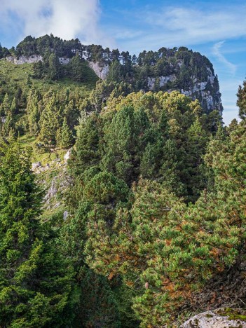 Le collet du Pré de la Rousse depuis la dépression du Charmille