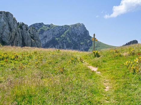 Au Col de Léchaud