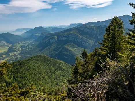 Sur la Crête des Charmilles
