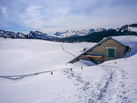 Le Chalet de l'Alpe