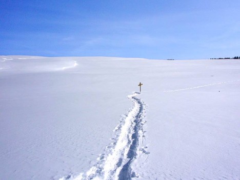 Traces de raquettes à neige