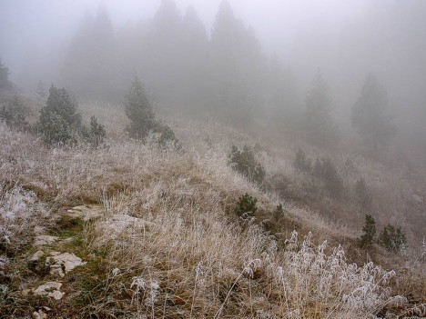 Givre sur le GR9, bientôt 14 heures…