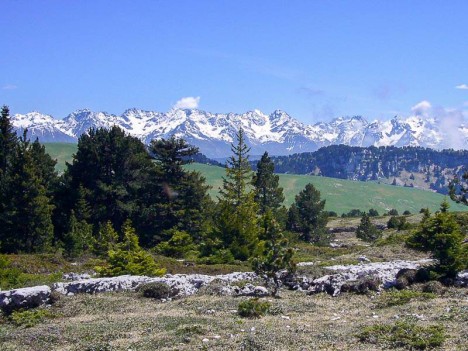 Sur le plateau sous les rochers de Fouda Blanc