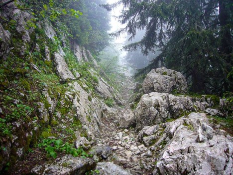 Le GR9® sous les soubassements du Piton de Bellefont