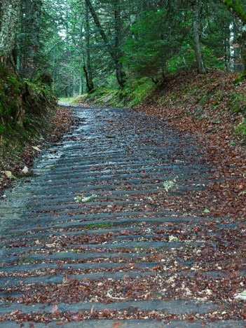 Le chemin de bois de la Fontaine Claire