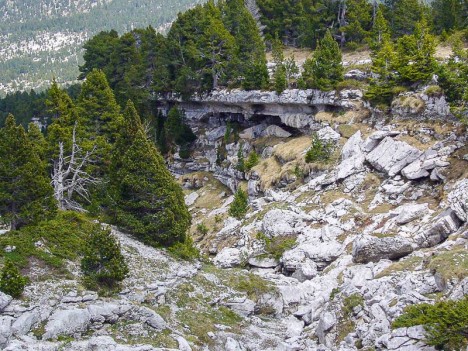 Le vallon du Pinet