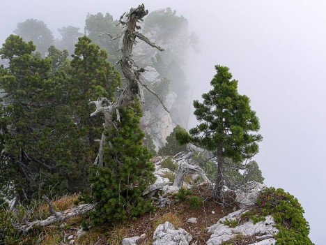 À l'approche du Rocher Pointu