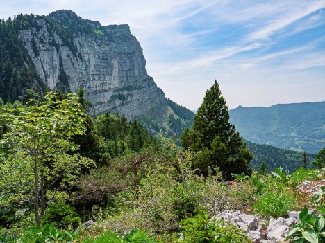 La falaise Nord du Sommet du Pinet