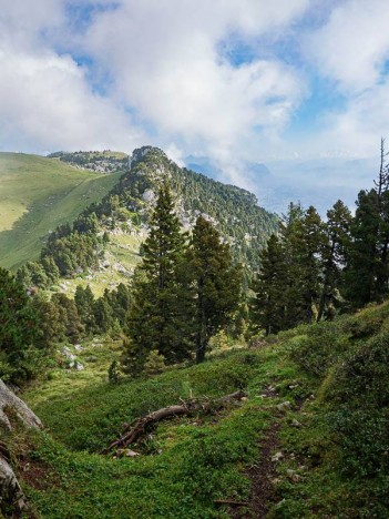 Le Col de l'Alpe depuis le collet du Pré de la Rousse