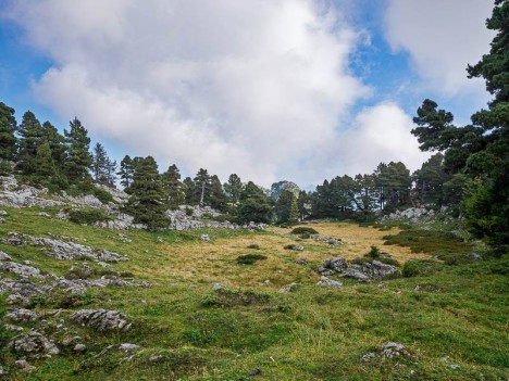 À travers le Pré de la Rousse