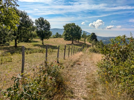 La clôture, fil rouge du sentier du Crêt