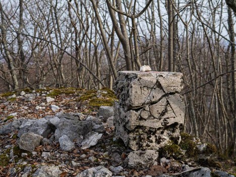 Vieille borne de la Montagne de Tentanet datée de 1937