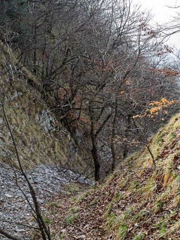 Descente du talweg, accès aux Prés Froids