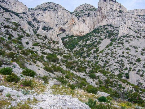 Le Cirque des Pételins