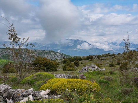 Le Mont Vial, au loin