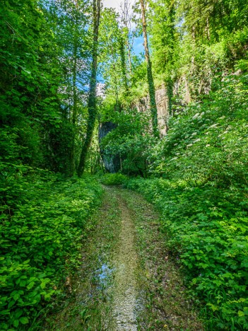 Par le canyon du Bois de la Garde