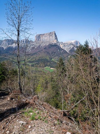 Dans le Bois du Trièves