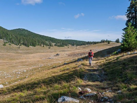 La prairie de Darbounouse