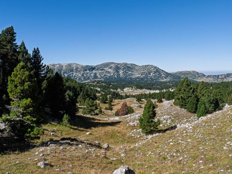 Vers la Jasse de l'Échelle
