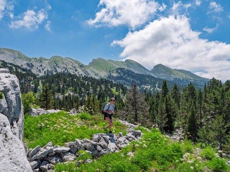 Muret de pierres sèches, les Erges