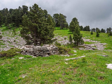Ruine de jasse sous le Pas de Serre Brion