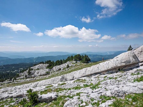 La blancheur des rancs calcaires