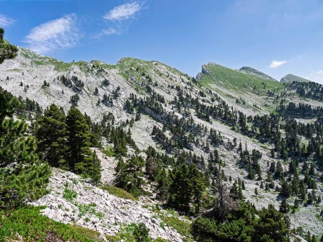 Les crêtes du Ranc Traversier et le Sommet de Malaval