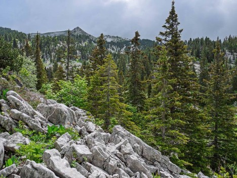 Les Rochers de la Peyrouse
