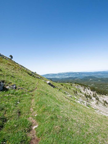 Le vieux chemin de Serre Brion