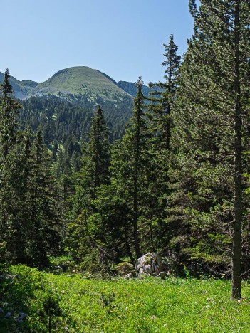 Le Sommet de Malaval