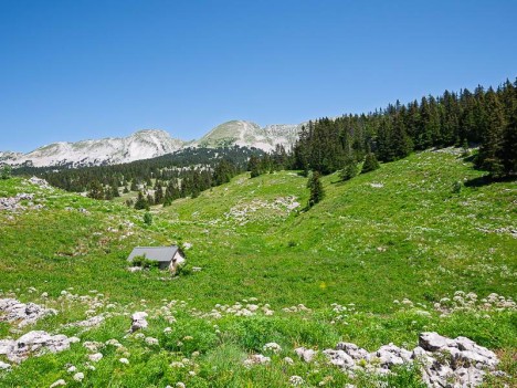La cabane de Tiolache du Milieu
