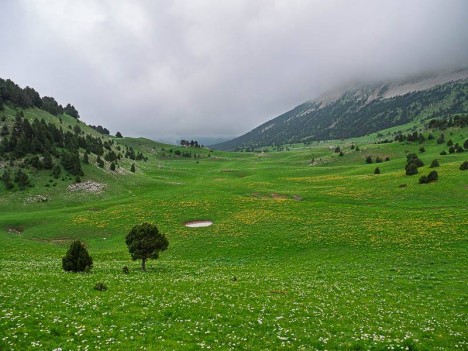 La plaine du Pas de l'Essaure