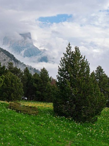 Le Mont Aiguille ennuagé