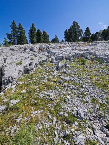 Le lapiaz du Pas Étoupe